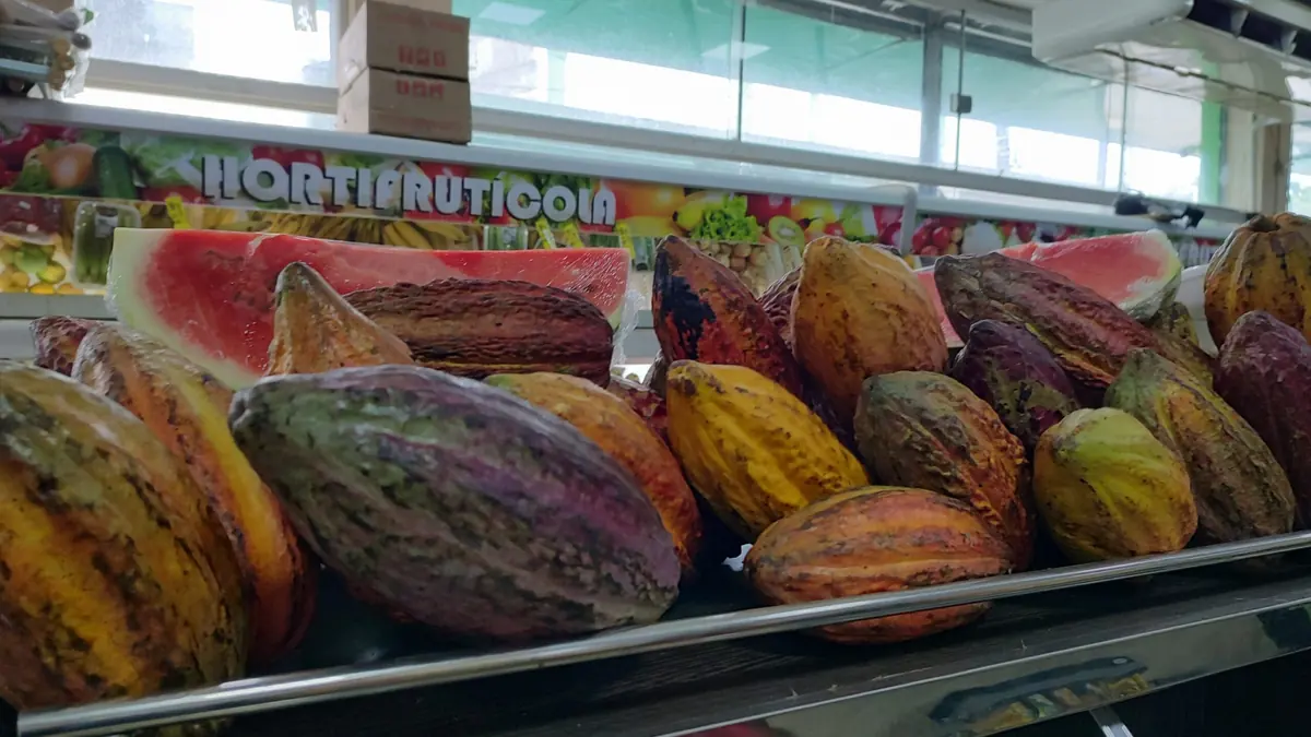 Vitrine de hortifrúti do Center Supermercados com cacau e frutas frescas